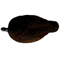 Heyday Lifetime Hydrofoam Bluebill Decoys
